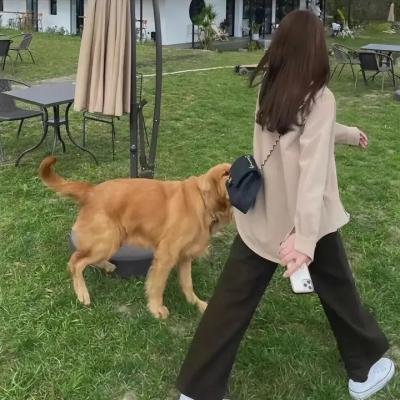 英法情人